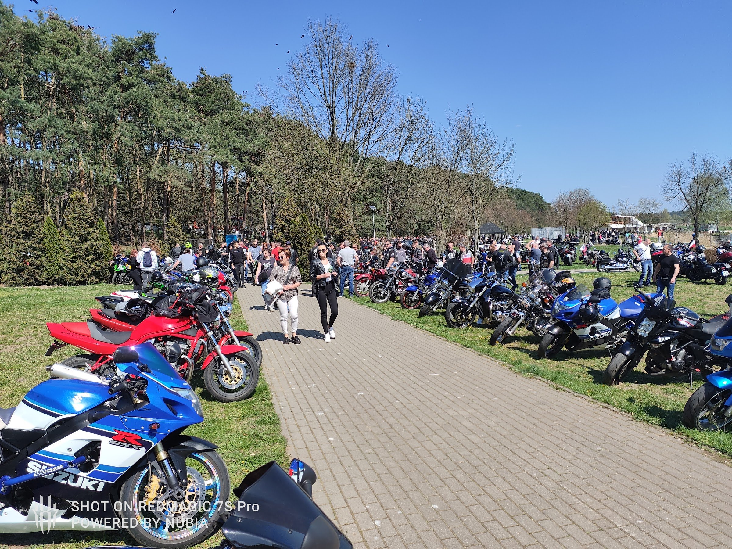 Plaża (Plaża w Nowym Mieście nad Zalewem Nowomiejskim)